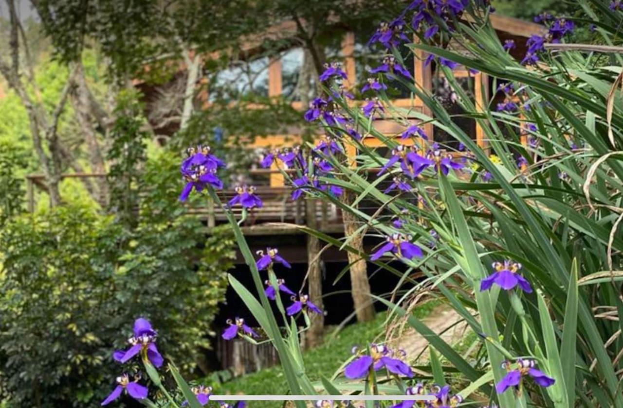 Campos do Jordão Casa De Vidro Com Vista Mantiqueira - Com Cafe E Staffヴィラ エクステリア 写真